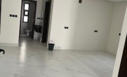 WhatsApp Image 2025-03-11 at 9.34.18 PM (1)