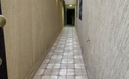 IMG_1267