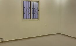 IMG_1274