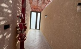 WhatsApp Image 2025-10-16 at 9.39.46 PM (1)