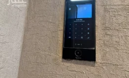 009017120_1768151247309