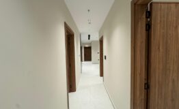 WhatsApp Image 2026-01-11 at 9.00.29 AM (3)