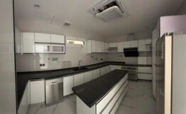 WhatsApp Image 2026-02-01 at 4.02.36 PM (3)