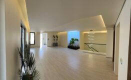 WhatsApp Image 2026-02-05 at 7.32.59 PM (6) - Copy