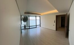 WhatsApp Image 2026-02-05 at 8.14.54 PM (1) - Copy - Copy