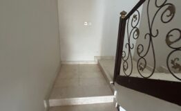 WhatsApp Image 2026-02-12 at 5.28.32 PM