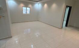 WhatsApp Image 2026-02-12 at 5.28.34 PM