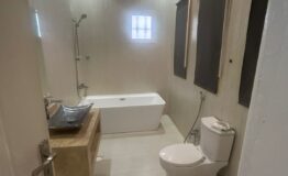 WhatsApp Image 2026-02-15 at 5.33.54 PM (1)