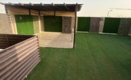 WhatsApp Image 2026-02-15 at 5.33.55 PM