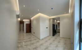 WhatsApp Image 2026-02-15 at 5.43.22 PM (2) - Copy