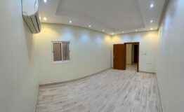 WhatsApp Image 2026-02-17 at 9.28.11 PM (1)