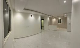 WhatsApp Image 2026-02-19 at 1.19.54 AM